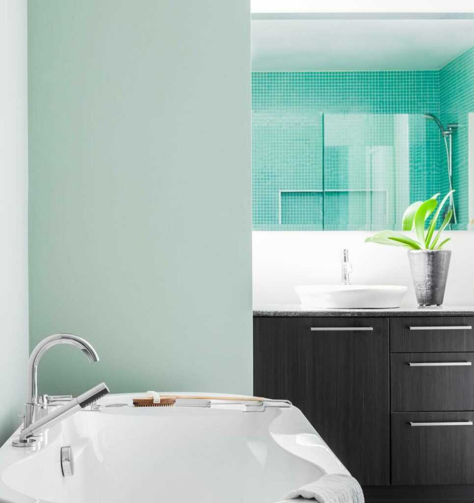 Baño con pintura antimoho en Burriana.